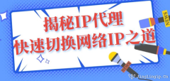 揭秘IP代理：快速切換網(wǎng)絡(luò)IP之道