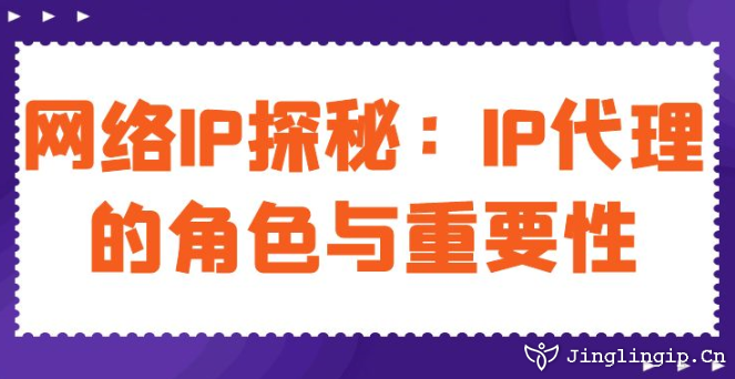網絡IP探秘:IP代理的角色與重要性
