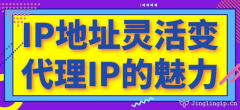 IP地址靈活變：代理IP的魅力