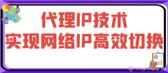 代理IP技術(shù)實(shí)現(xiàn)網(wǎng)絡(luò)IP高效切換