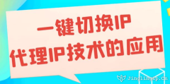 一鍵切換IP：代理IP技術(shù)的應(yīng)用