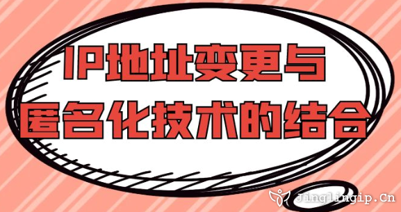 IP地址變更與匿名化技術的結合