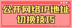 公開網(wǎng)絡(luò)IP地址切換技巧